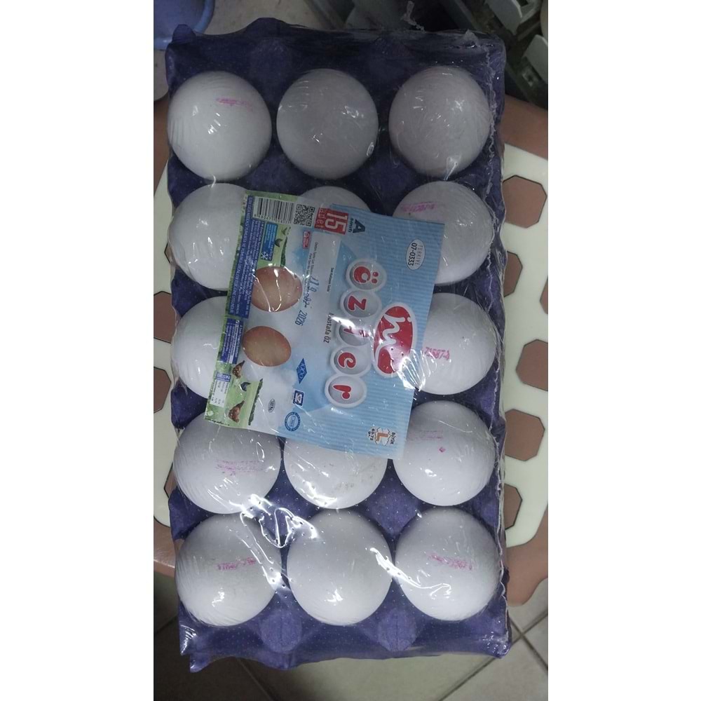 ÖZLER YUMURTA L 15Lİ